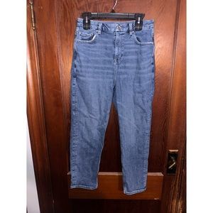 American Eagle Curvy Mom Jeans